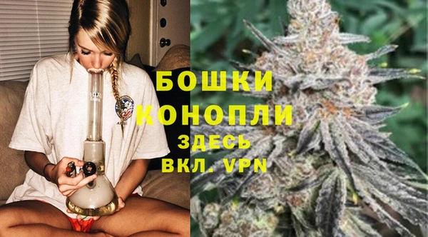 ПСИЛОЦИБИНОВЫЕ ГРИБЫ Абаза