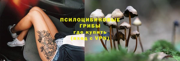 ПСИЛОЦИБИНОВЫЕ ГРИБЫ Абаза