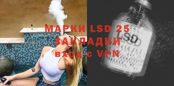 ПСИЛОЦИБИНОВЫЕ ГРИБЫ Абаза