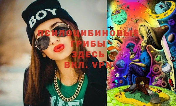 PSILOCYBIN Абдулино